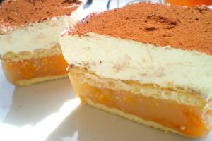 Ledene kocke od bresaka