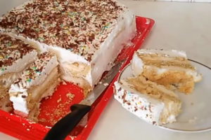 PUSLICA - KRALJICA TORTI: Lagana, hrskava i veoma ukusna [VIDEO]
