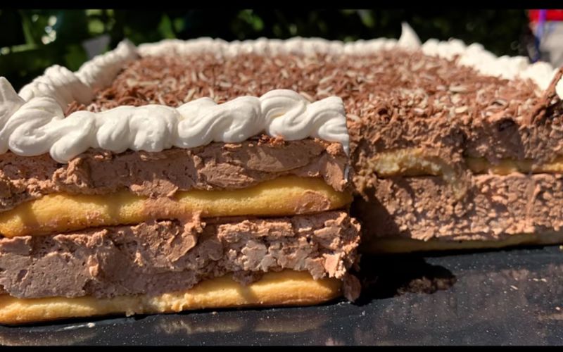 VIDEO RECEPT: Kremasta, čokoladna torta bez jaja i pečenja – GOTOVA ZA 15 MINUTA!